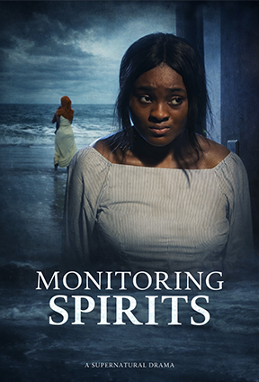 Monitoring Spirit